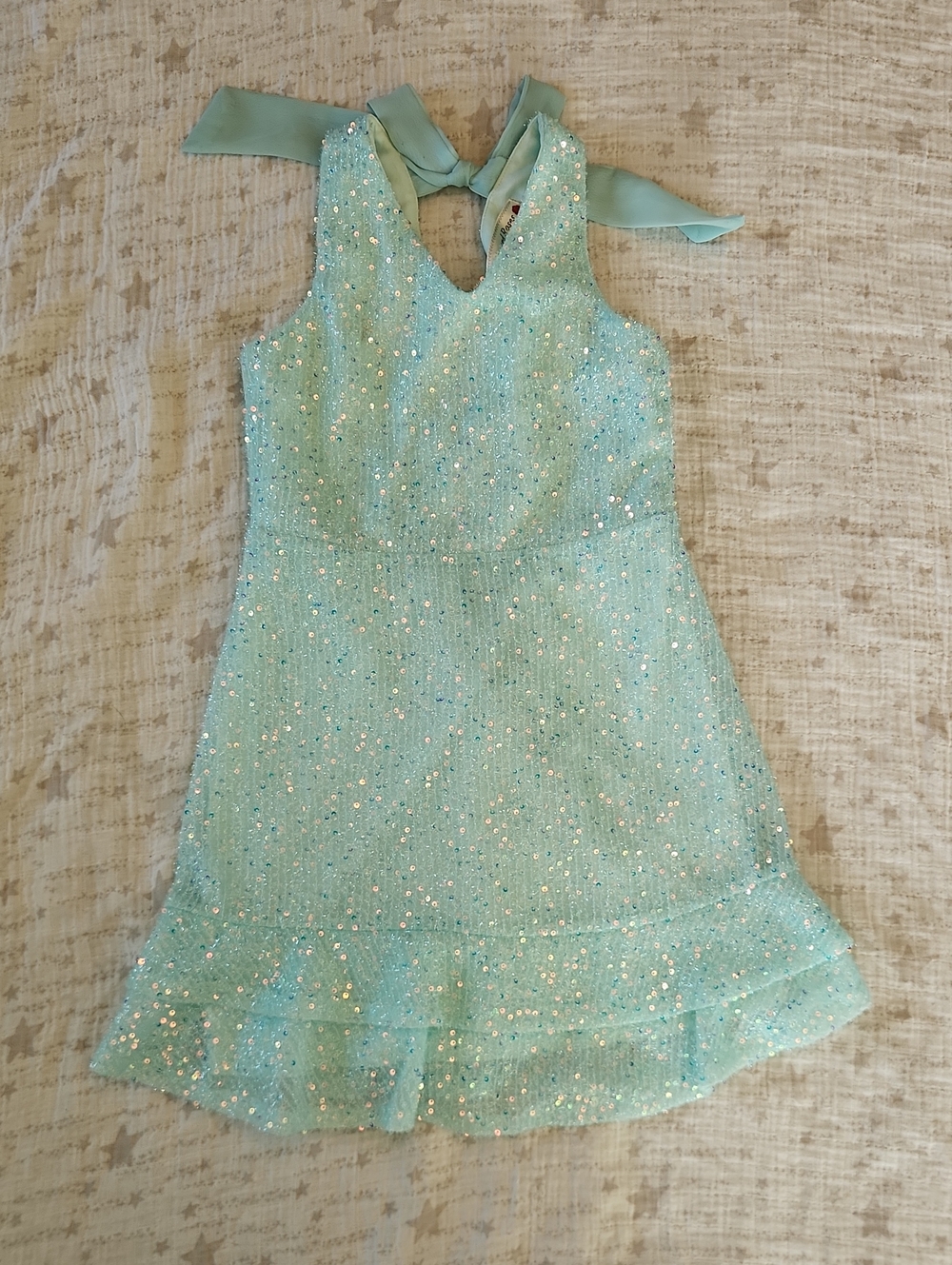 Size 6 Poppies And Roses Dress
